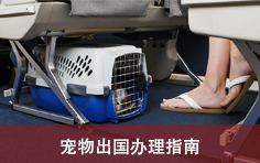 宠物出国办理指南