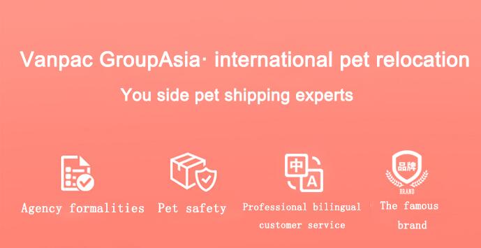 Vanpac GroupAsia· introduction of international pet consignment