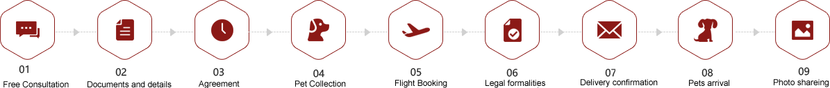 One-stop pet consignment service process