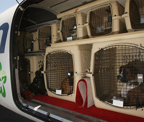 保障-按时就位还原