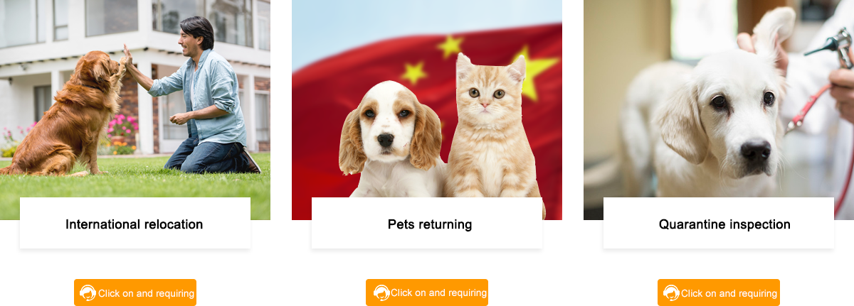 Pet consignment service